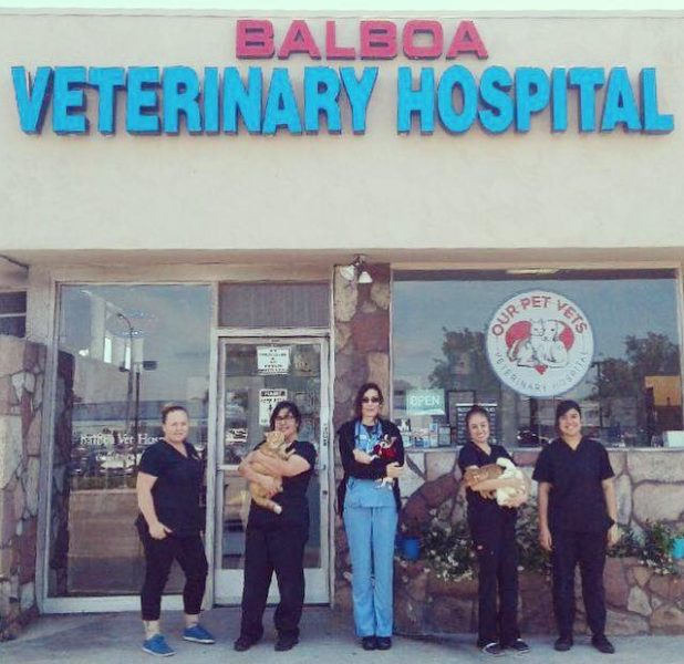 Balboa Veterinary Hospital