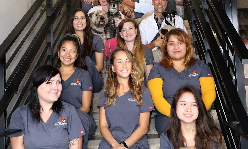 Cabrillo Pet Hospital