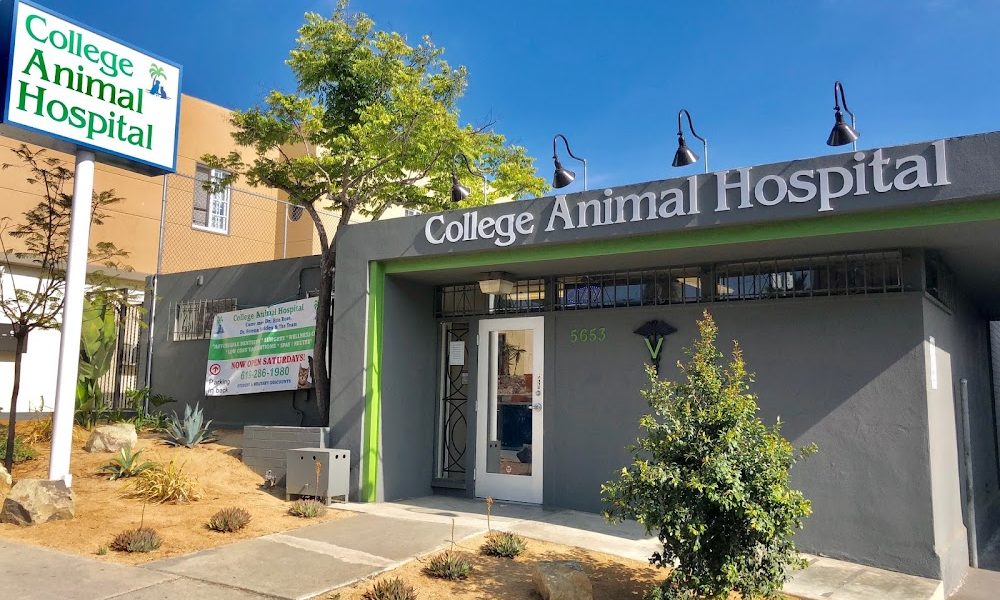 College Animal Hospital