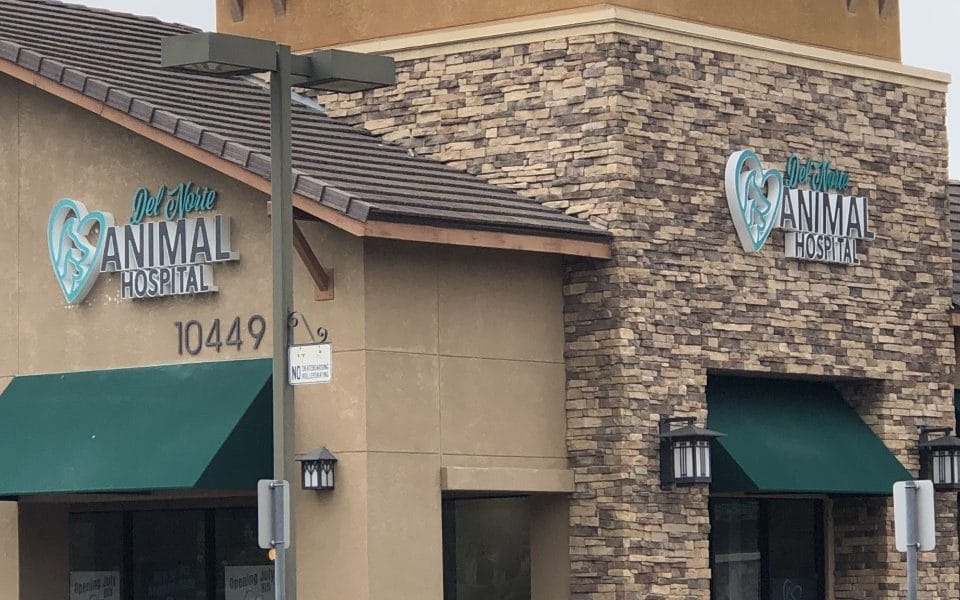 Del Norte Animal Hospital