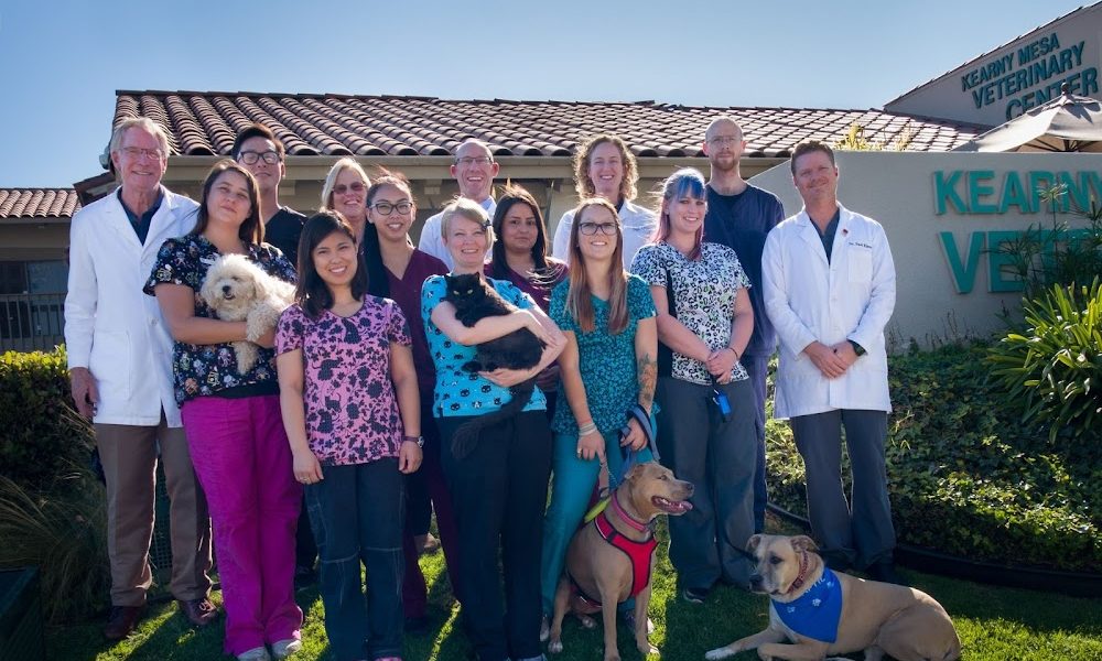 Kearny Mesa Veterinary Center