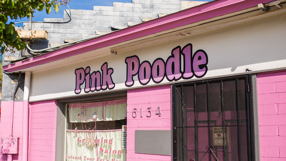 The Pink Poodle Pet Salon