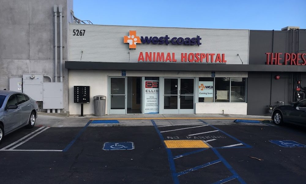 West Coast Animal Hospital