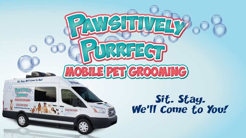 Pawsitively Purrfect Mobile Pet Grooming